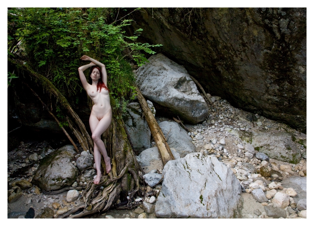 52-Dani---Zauberw-0808