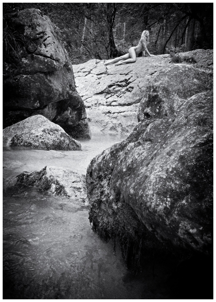 13-sw-Zauberwald-160716